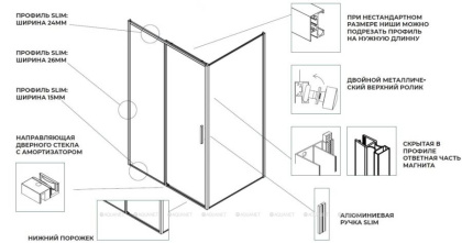 Душевая дверь Aquanet Pleasure Evo 100 AE65-N100-BT профиль черный, прозрачное стекло