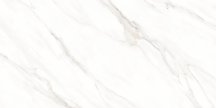 Керамогранит 600х1200 ROMAN SATVARIO Керамогранит 600х1200 ROMAN SATVARIO