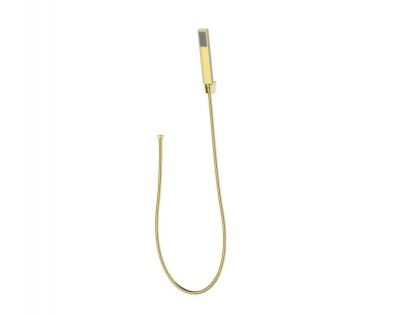 LUCE Ручной душ со шлангом и держателем, золото, LUC-DFS-ORO