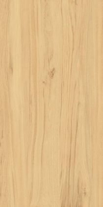 Керамогранит K-2101/SR/600x1200x10 KERRANOVA 60х120