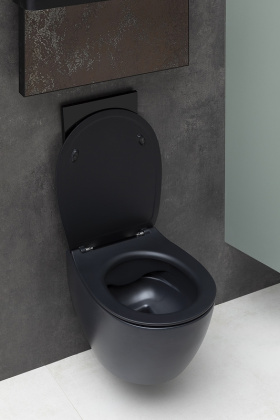 Чаша подвесного унитаза Allen Brau Fantasy 4.11004.31 черный матовый