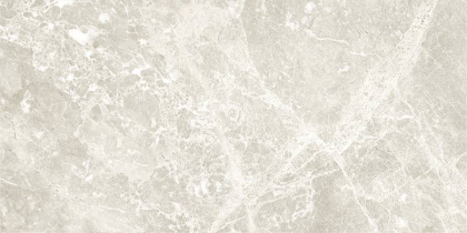 GT209VG Настенная плита Action_GT светло-сер. 30x60 _ 1\58,32