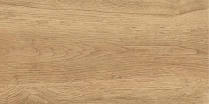 GT220VG Керамогранит Florida_GT Беж. 30x60 1\58,32